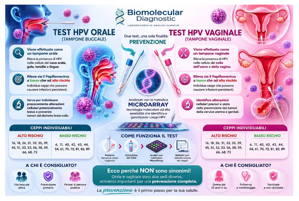 HPV inforgrafica